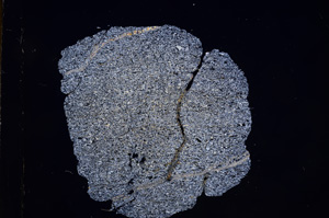 Cross Polarized, E6857