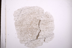 Plane Polarized, E6857