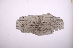Plane Polarized, E6869