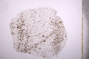 Plane Polarized, E6881