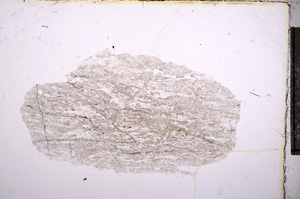 Plane Polarized, E6882