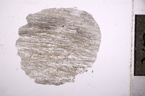 Plane Polarized, E6885