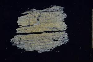 Cross Polarized, E6888