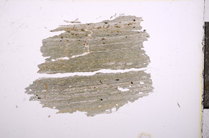 Plane Polarized, E6888