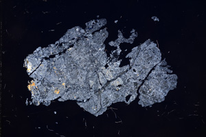 Cross Polarized, E6892