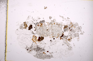 Plane Polarized, E6912