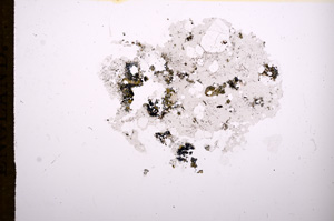 Plane Polarized, E6951