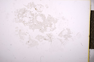 Plane Polarized, E6953