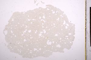 Plane Polarized, E6954