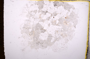 Plane Polarized, E6959