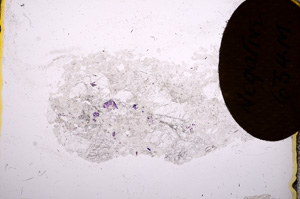 Plane Polarized, E6962