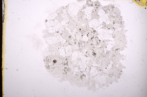 Plane Polarized, E6967