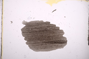 Plane Polarized, E6976
