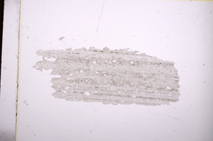 Plane Polarized, E6981