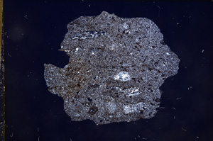 Cross Polarized, E7033