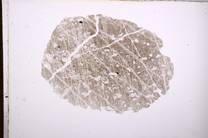 Plane Polarized, E7043