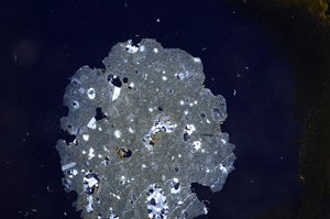 Cross Polarized, E7124