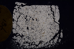 Cross Polarized, E7130