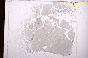 Plane Polarized, E7133