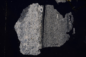 Cross Polarized, E7161