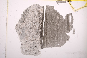 Plane Polarized, E7161