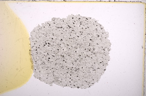 Plane Polarized, E7181
