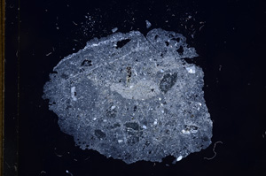 Cross Polarized, E7229