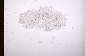 Plane Polarized, E7234