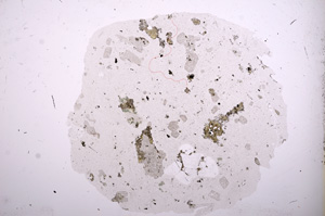 Plane Polarized, E7238