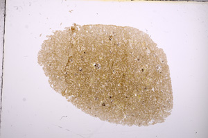 Plane Polarized, E7256