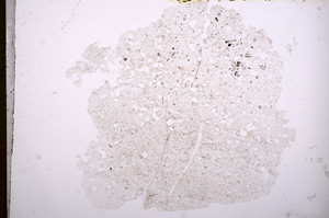 Plane Polarized, E7257