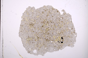 Plane Polarized, E7260