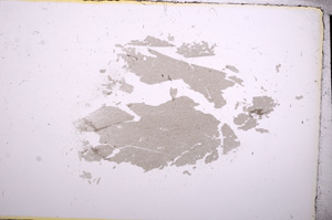 Plane Polarized, E7266