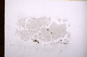 Plane Polarized, E7273