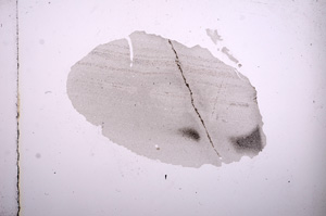 Plane Polarized, E7279