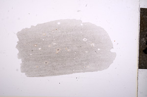 Plane Polarized, E7282