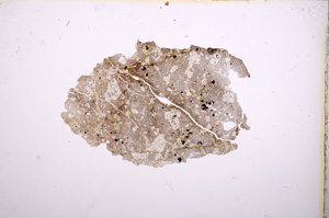 Plane Polarized, E7305