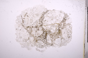 Plane Polarized, E7320