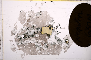 Plane Polarized, E7397