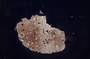 Cross Polarized, E7416