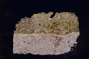 Cross Polarized, E7417