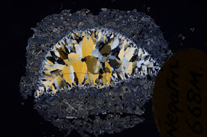 Cross Polarized, E7421