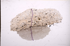 Plane Polarized, E7422