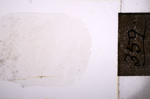 Plane Polarized, E7429