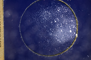 Cross Polarized, E7489