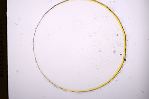 Plane Polarized, E7489