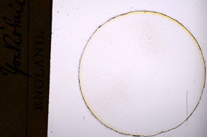 Plane Polarized, E7490