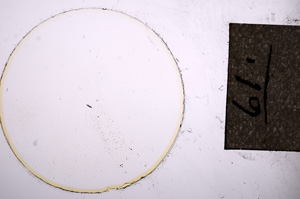 Plane Polarized, E7491