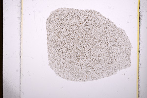 Plane Polarized, E7503