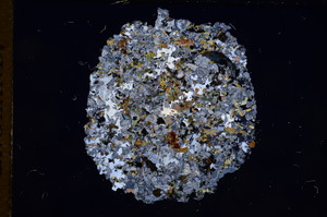 Cross Polarized, E7535